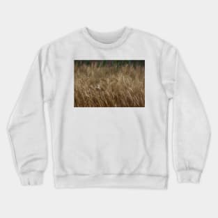 Country Kansas Wheat Field Crewneck Sweatshirt